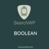 SearchWP Boolean Search Query