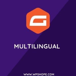 Gravity forms Multilingual