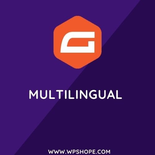 Gravity forms Multilingual