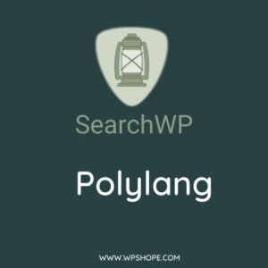 SearchWP Polylang Integration