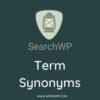 SearchWP Term Synonyms