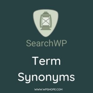 SearchWP Term Synonyms