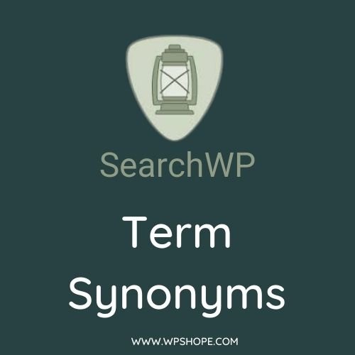 SearchWP Term Synonyms