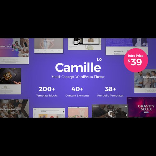 Camille - Multi-Concept WordPress Theme