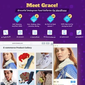 Instagram Feed Gallery - Grace for WordPress v1.2.1