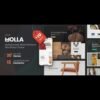 Molla - Multi-Purpose WooCommerce Theme