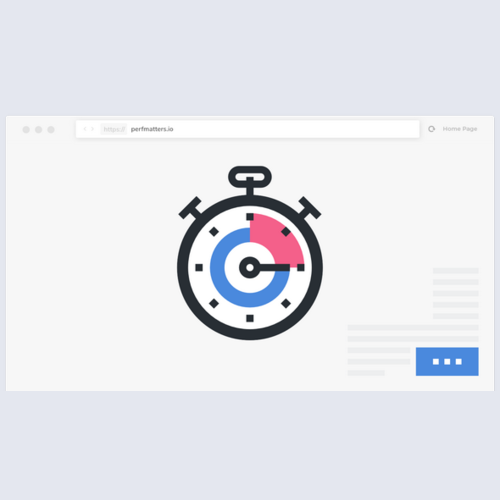 Perfmatters - Lightweight Performance Plugin