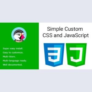 Simple Custom CSS and JS PRO v4.22