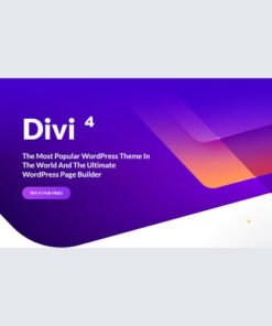 Elegant Theme Divi WordPress Theme