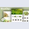 MOOCHA V1.0 - TEA SHOP & ORGANIC STORE RESPONSIVE SHOPIFY THEME