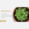 Bavalle - Decor Responsive Shopify Theme