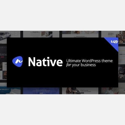 Native - Stylish Multi-Purpose Creative WP Theme