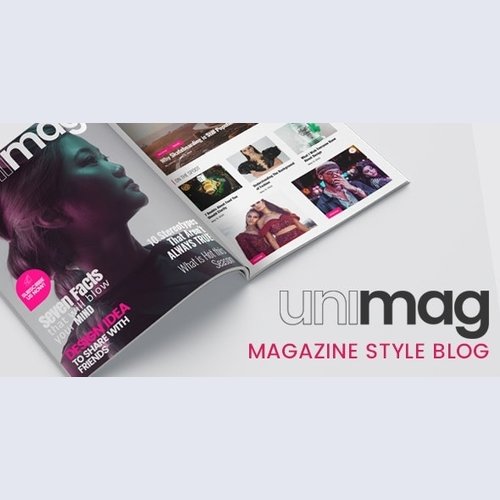 Anymag - Magazine Style WordPress Blog