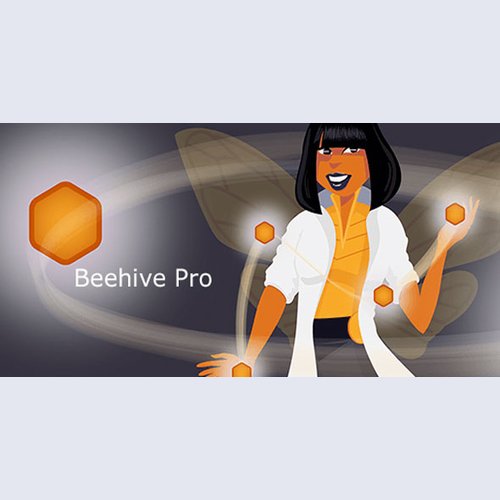 Beehive Pro - WordPress Plugin