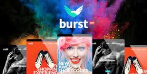 Burst - A Bold and Vibrant WordPress Theme