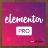 Elementor Pro WordPress Plugin with Pro + 600 Premade Templates