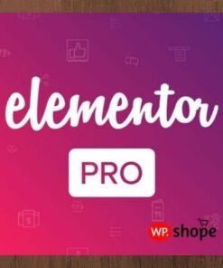 Elementor Pro WordPress Plugin with Pro + 600 Premade Templates