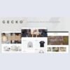 Gecko Responsive Shopify theme