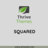 Thrive Themes Squared WordPress Theme